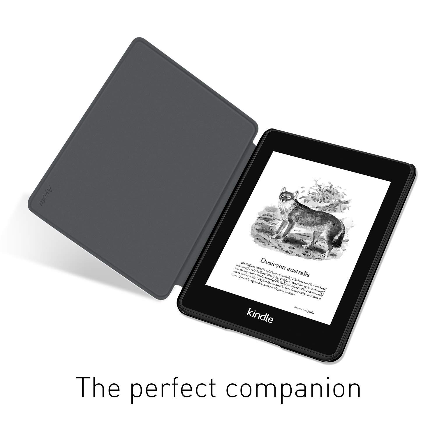 Para Kindle Paperwhite 5/6/7th - Kindle Tablet Accessories reseña y precio